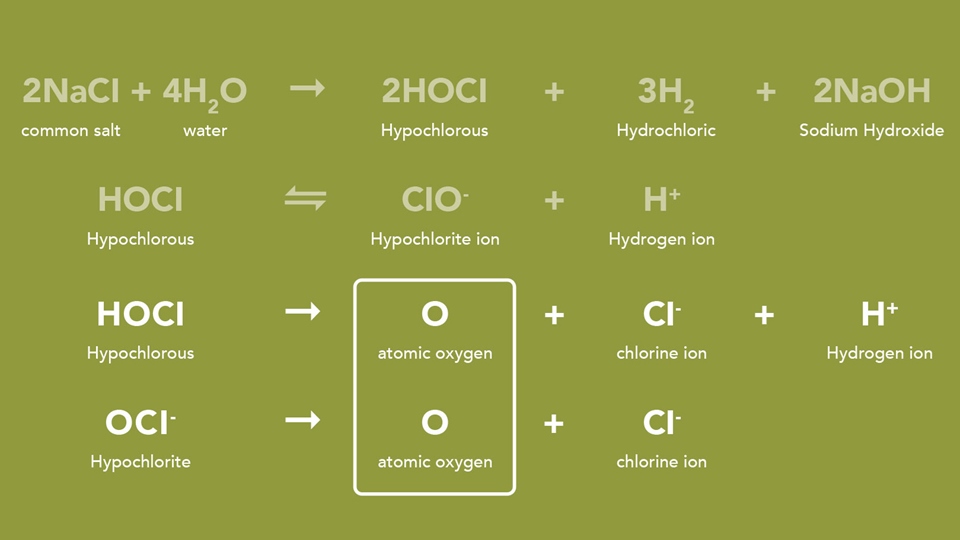 Electrochemical Process Chart Enlarged